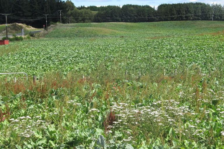 Photo of property in 33 Tuhingamata Road, Oruanui, Taupo, 3384