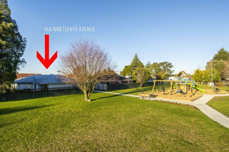 Photo of property in 16a Nineteenth Avenue, Tauranga South, Tauranga, 3112