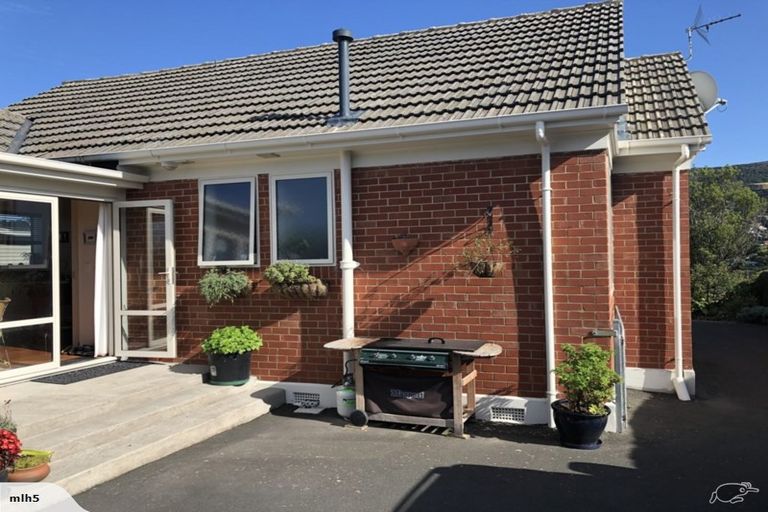 Photo of property in 50 Mayfield Avenue, Wakari, Dunedin, 9010