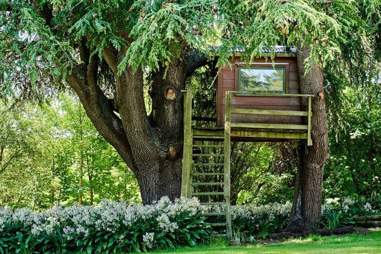 Photo of property in 8 Maungahina Road, Te Ore Ore, Masterton, 5886