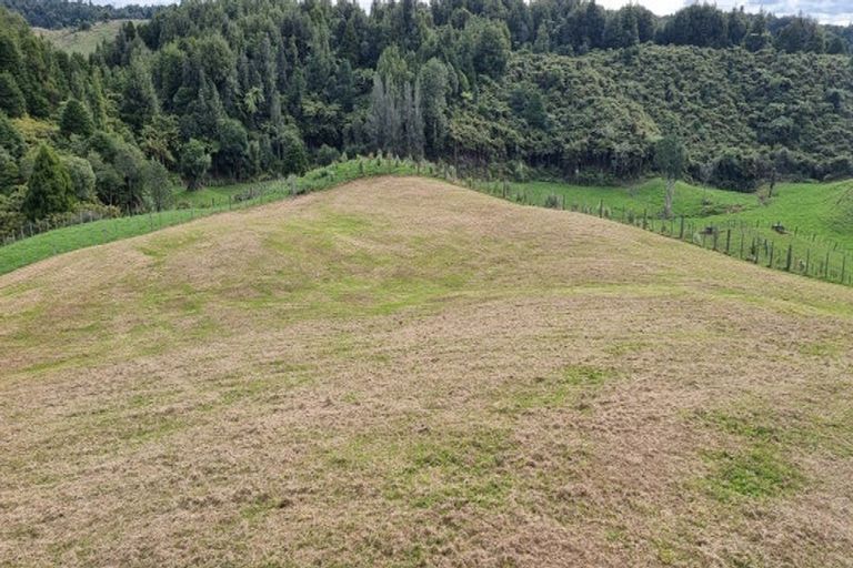 Photo of property in 956f Whakamarama Road, Whakamarama, 3179