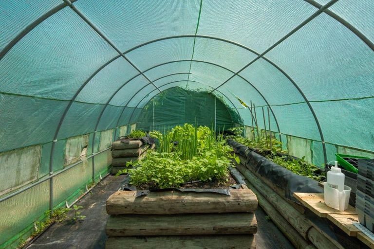 Photo of property in 15 Page Street, Redwoodtown, Blenheim, 7201