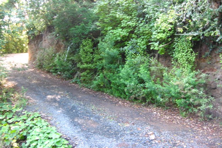 Photo of property in 51 Montague Street, North East Valley, Dunedin, 9010