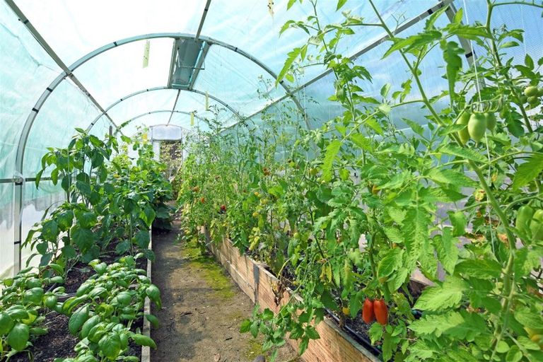 Photo of property in 115 Mytton Heights, Motueka, 7196