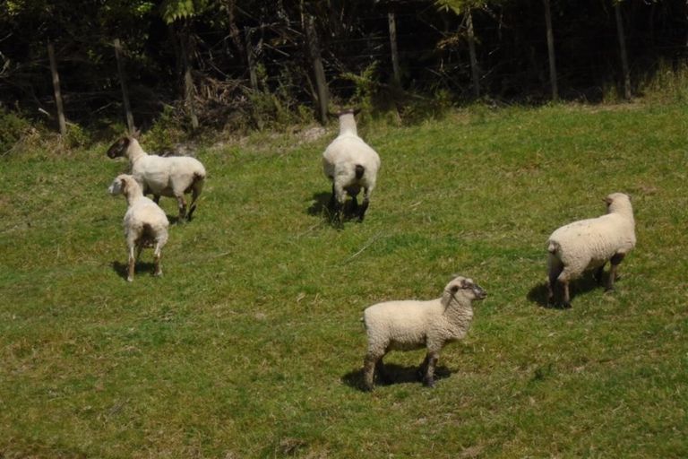 Photo of property in 43a Pinetone Road, Kumeu, 0892