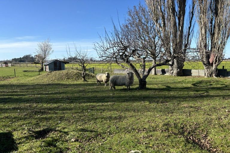Photo of property in 85 Willowbridge Settlement Road, Waimate, 7980