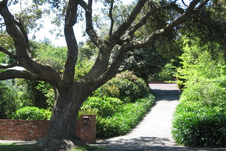 Photo of property in 42 College Street, College Estate, Whanganui, 4500