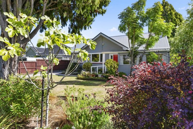 Photo of property in 117 Ranolf Street, Glenholme, Rotorua, 3010