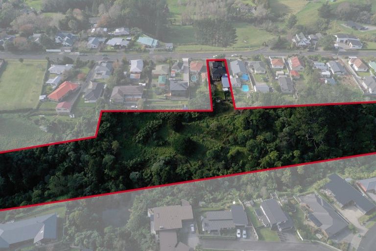 Photo of property in 446 Carrington Street, Upper Vogeltown, New Plymouth, 4310
