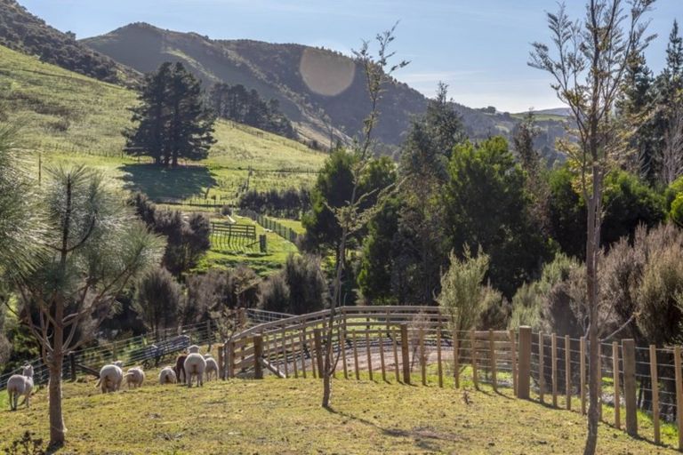 Photo of property in 132 Mount Holdsworth Road, Mount Holdsworth, Carterton, 5791