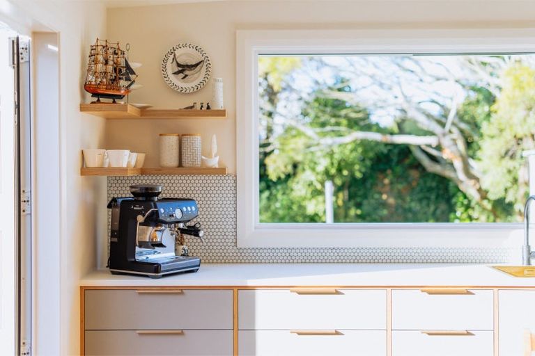 Photo of property in 19 Waterloo Street, Saint Kilda, Dunedin, 9012