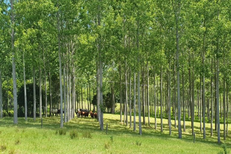 Photo of property in 237 Hewlett Road, Mata, Whangarei, 0171