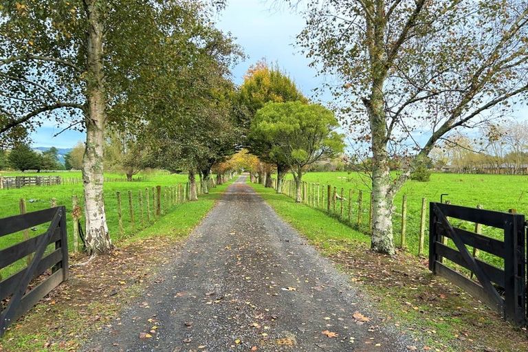 Photo of property in 162 Kimberley Road, Levin, 5571