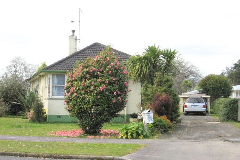 Photo of property in 28 Douglas Crescent, Fairfield, Hamilton, 3214