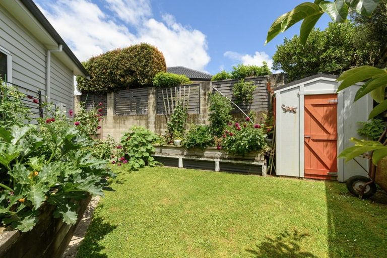 Photo of property in 59 Contour Avenue, Pyes Pa, Tauranga, 3112