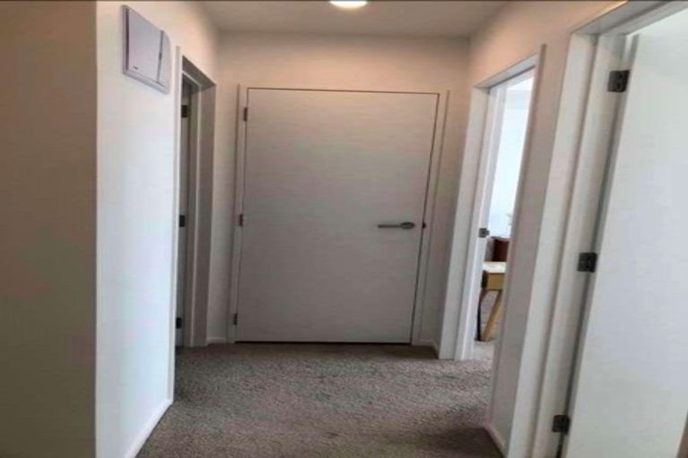 Photo of property in Apollo Apartments, 201/46 Rosedale Road, Rosedale, Auckland, 0632