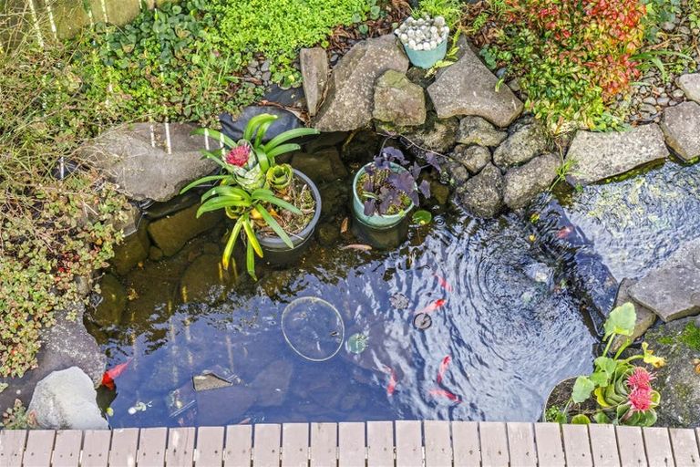 Photo of property in 27 Hale Crescent, Bayview, Auckland, 0629