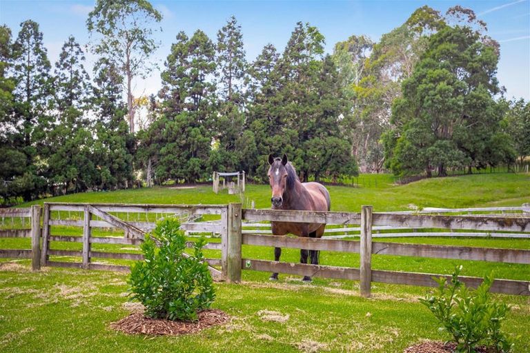 Photo of property in 741 Wainui Road, Wainui, Silverdale, 0992