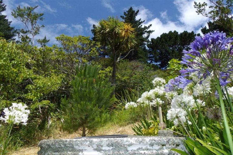 Photo of property in 28 Tapu Coroglen Road, Tapu, Thames, 3575