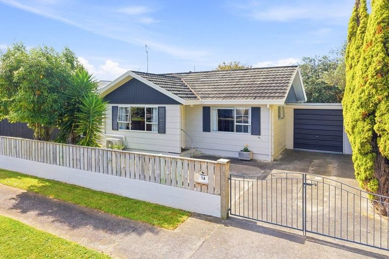 Photo of property in 1a Hackett Street, Whanganui East, Whanganui, 4500