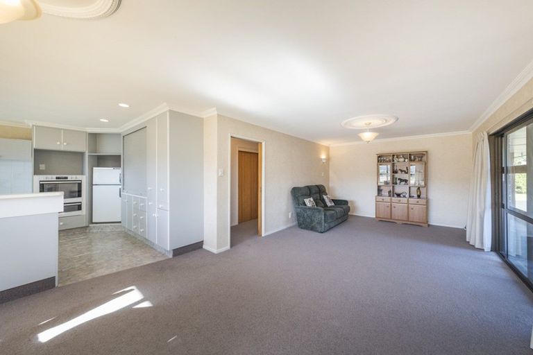 Photo of property in 225 The Terrace, Ashhurst, 4810