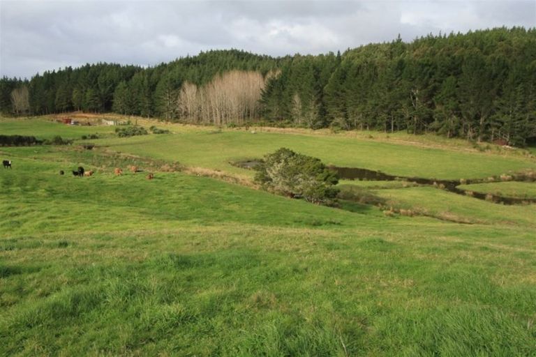 Photo of property in 388 South Road, Waipu, 0582