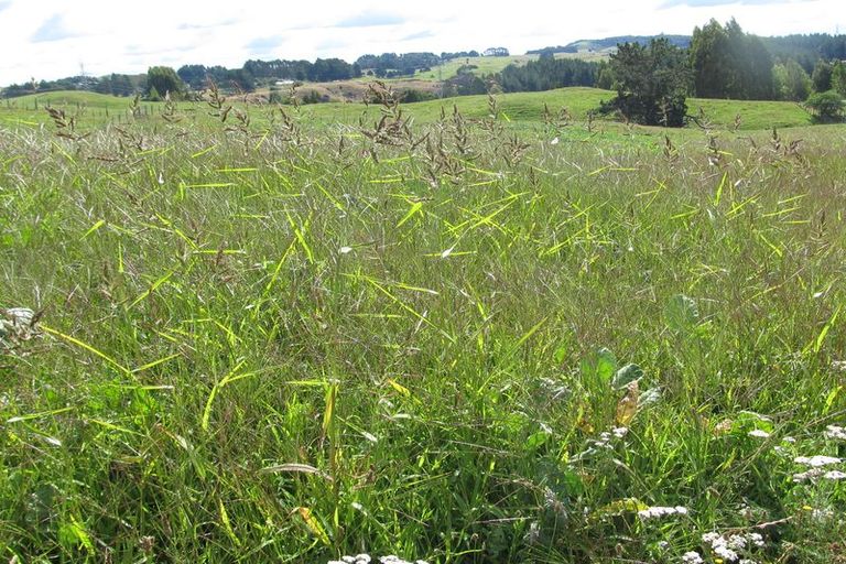 Photo of property in 30 Tuhingamata Road, Oruanui, Taupo, 3384