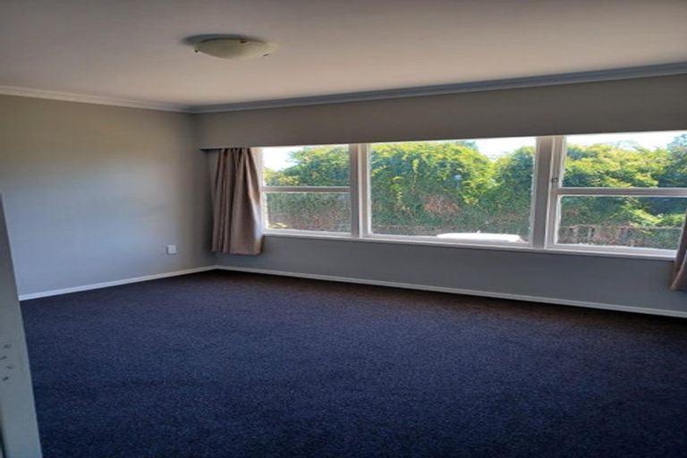 Photo of property in 167 Mahoe Street, Melville, Hamilton, 3206