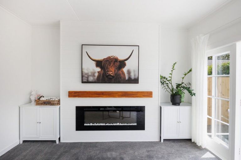 Photo of property in 173 Botanical Road, Takaro, Palmerston North, 4412