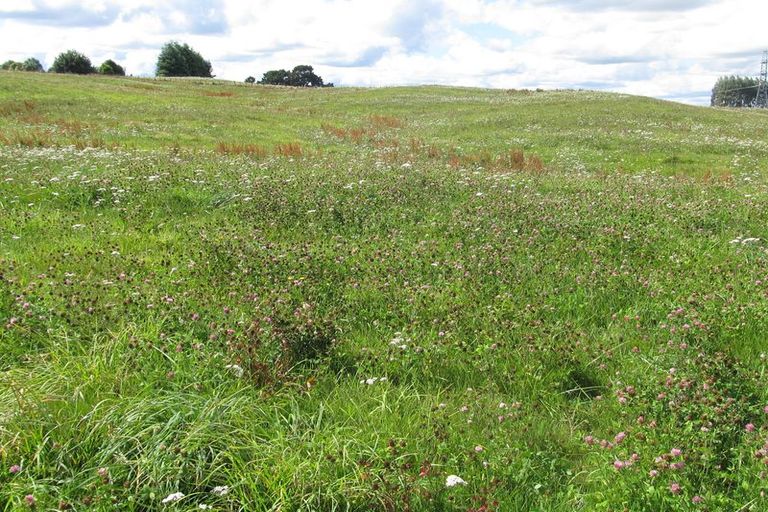 Photo of property in 33 Tuhingamata Road, Oruanui, Taupo, 3384