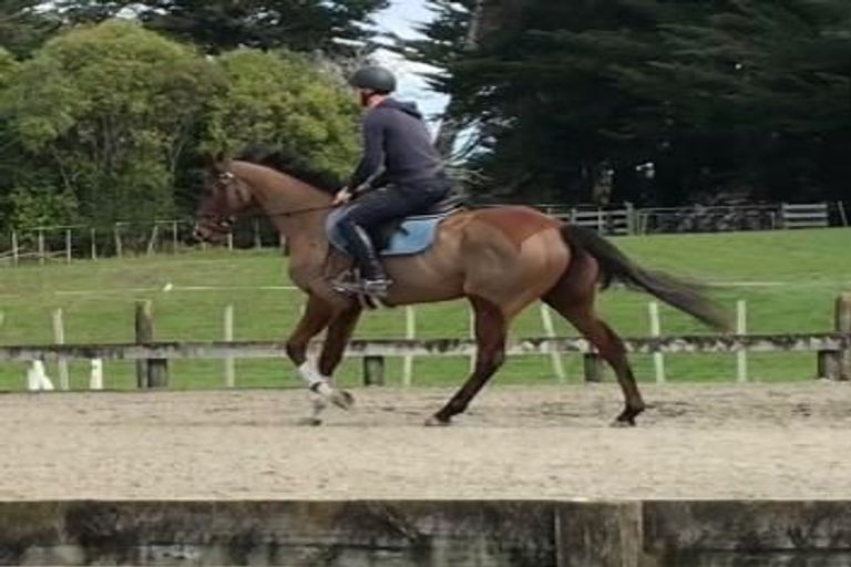 Photo of property in 19 Valley Road, Waitoki, Kaukapakapa, 0871