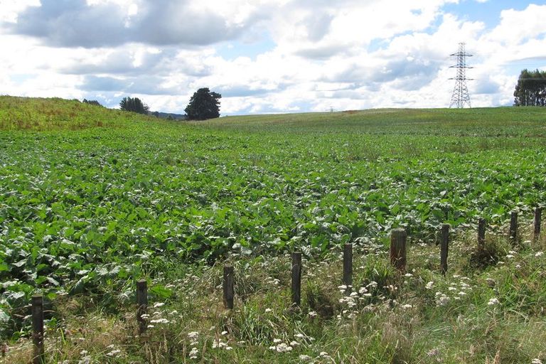 Photo of property in 33 Tuhingamata Road, Oruanui, Taupo, 3384