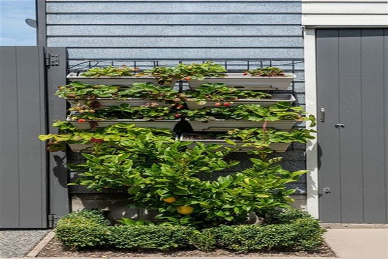 Photo of property in 124 Cobham Street, Spreydon, Christchurch, 8024