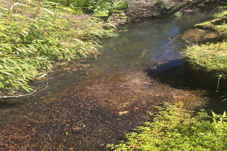 Photo of property in 14 Thompson Road, Kaitaia, 0482