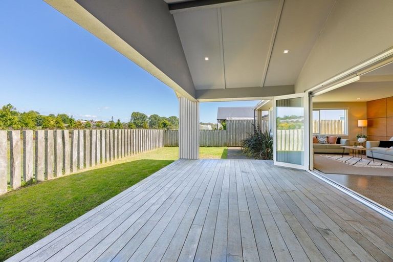 Photo of property in 299 Carmichael Road, Brookfield, Tauranga, 3110