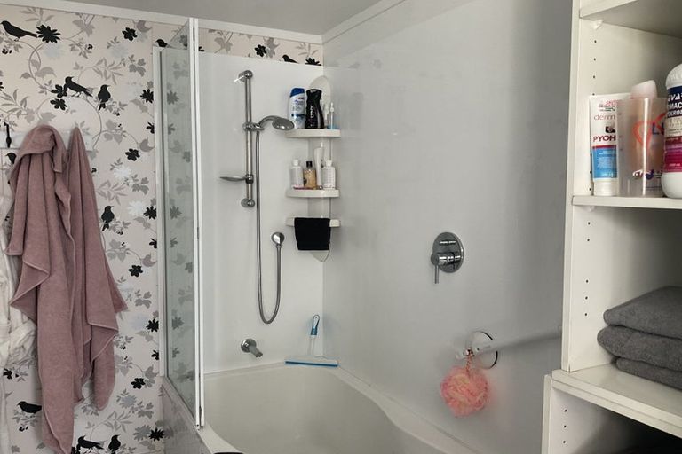 Photo of property in 96 Napier Road, Terrace End, Palmerston North, 4410