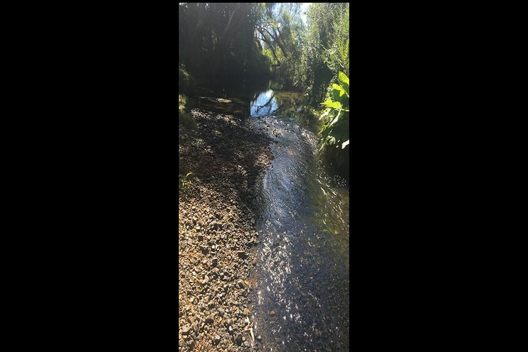 Photo of property in 14 Thompson Road, Kaitaia, 0482