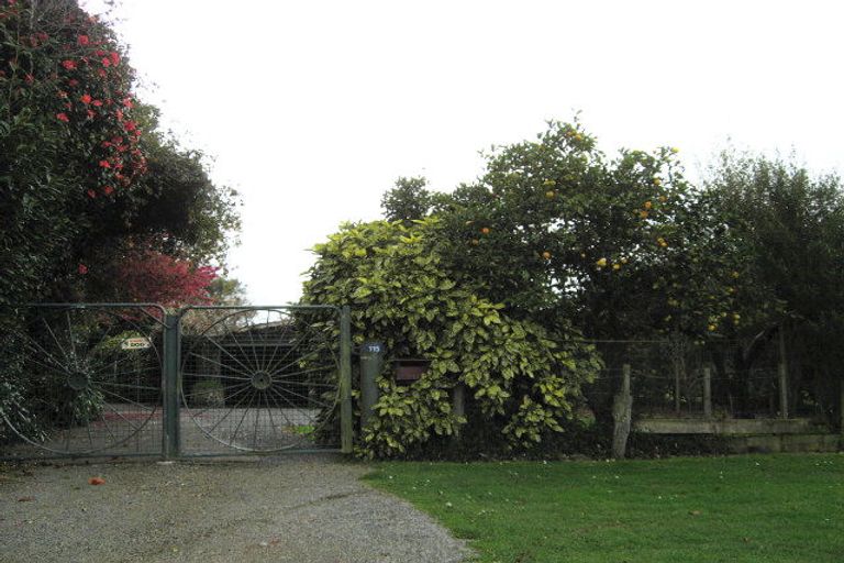 Photo of property in 115 Fairfield Road, Levin, 5510