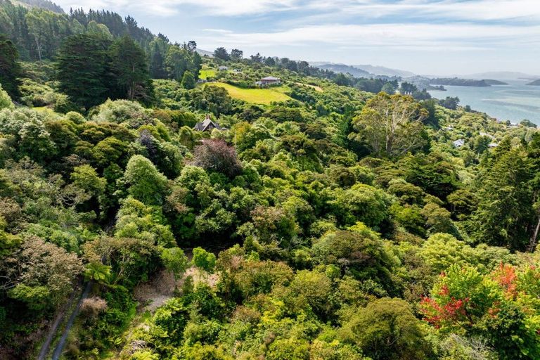 Photo of property in 30 Ruru Avenue, Saint Leonards, Dunedin, 9022