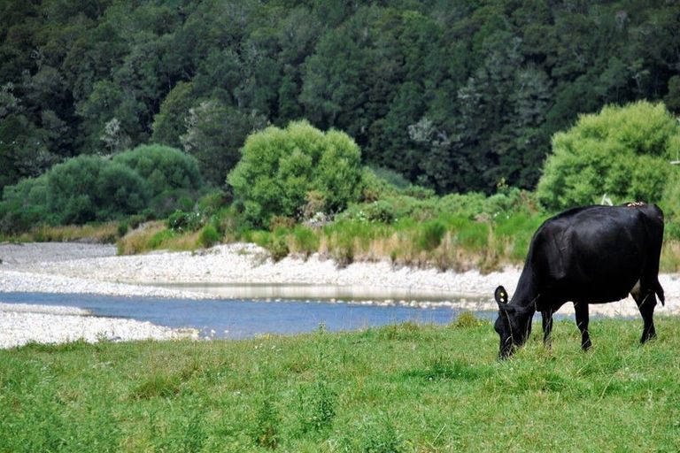 Photo of property in 158 Shillingford Boulevard, Rolleston, 7615