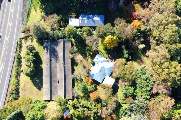 Photo of property in 664 State Highway 2, Tahawai, Katikati, 3170