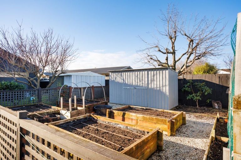 Photo of property in 141 Oxford Street, Ashhurst, 4810