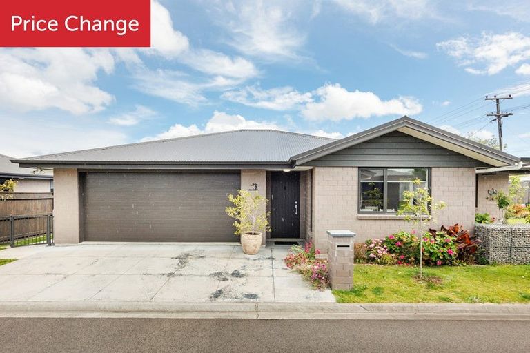 Photo of property in 95 Awahuri Road, Feilding, 4702