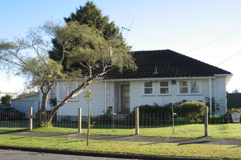 Photo of property in 55 Alfred Street, Fairfield, Hamilton, 3214