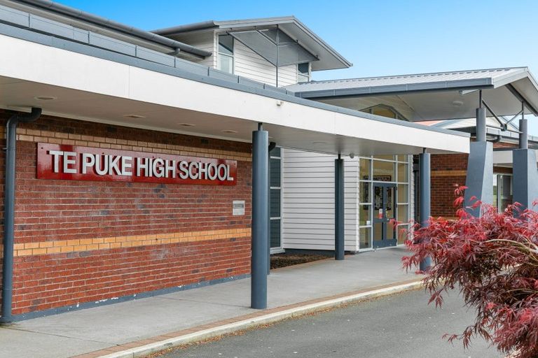 Photo of property in 12 Dowman Place, Te Puke, 3119