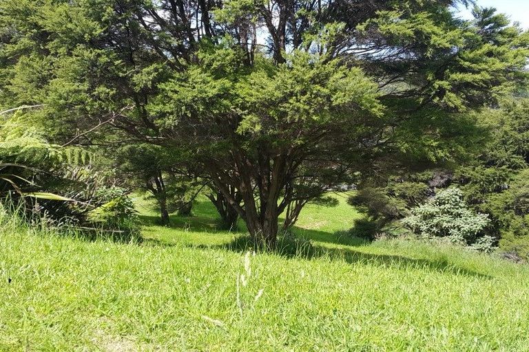 Photo of property in 75 Tarapatiki Drive, Whitianga, 3510