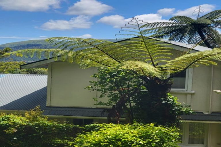 Photo of property in 142 Seddon Street, Naenae, Lower Hutt, 5011