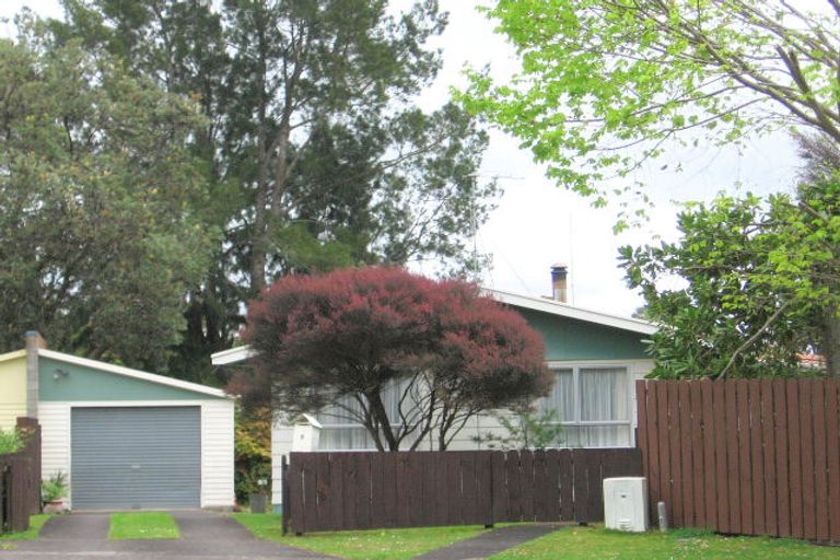 Photo of property in 6 Sarjant Place, Paeroa, 3600