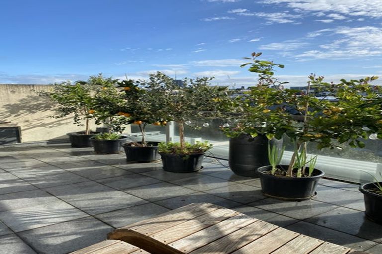 Photo of property in 221/23 Edwin Street, Mount Eden, Auckland, 1024