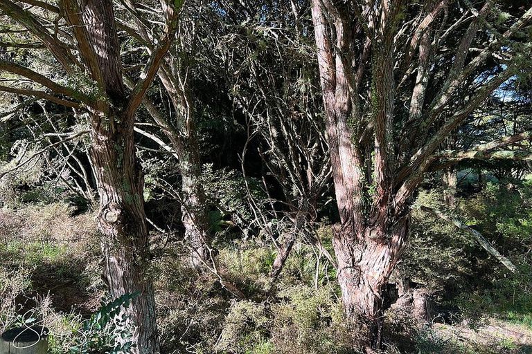 Photo of property in 171 Arcadia Road, Paparoa, 0571